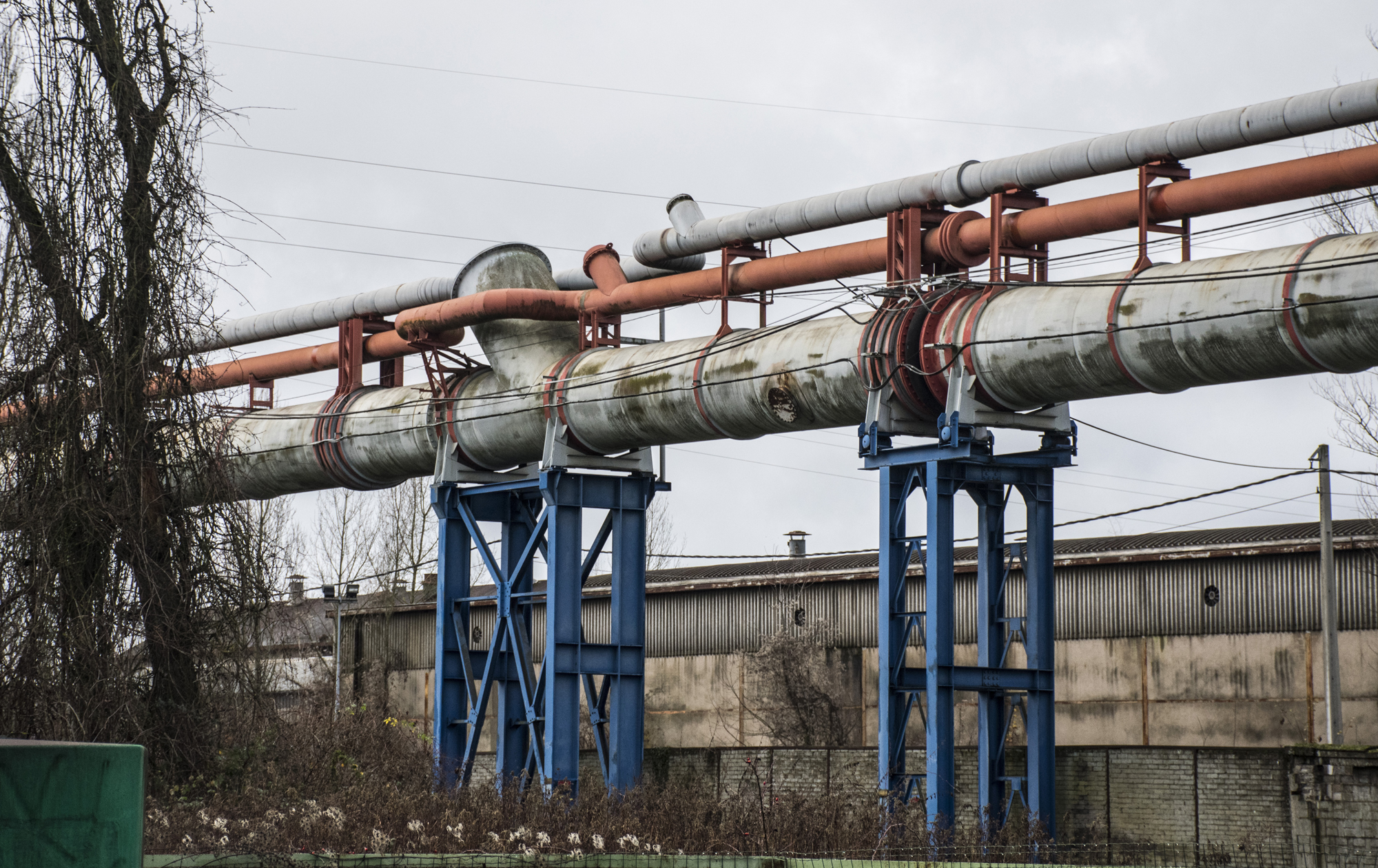 Florange Microttrott 3jpg